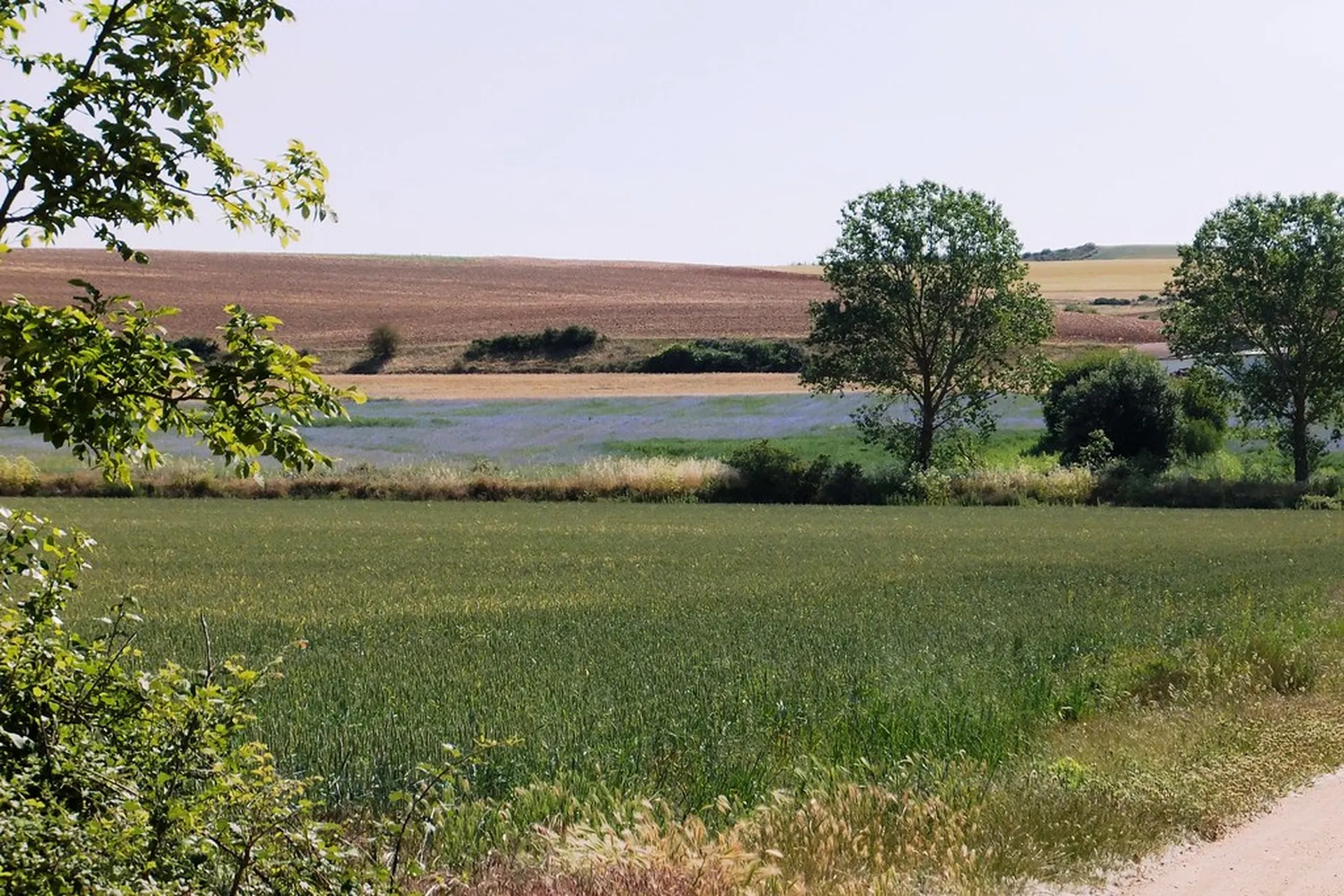 Paisaje otoñal