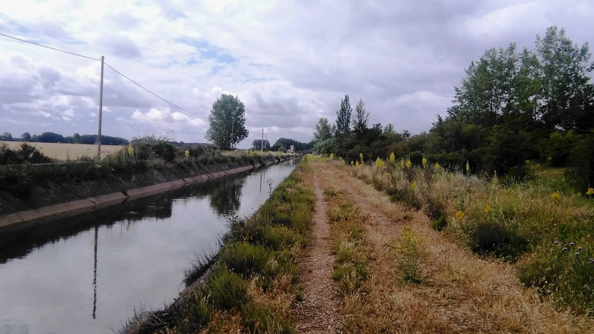 Canal y camino