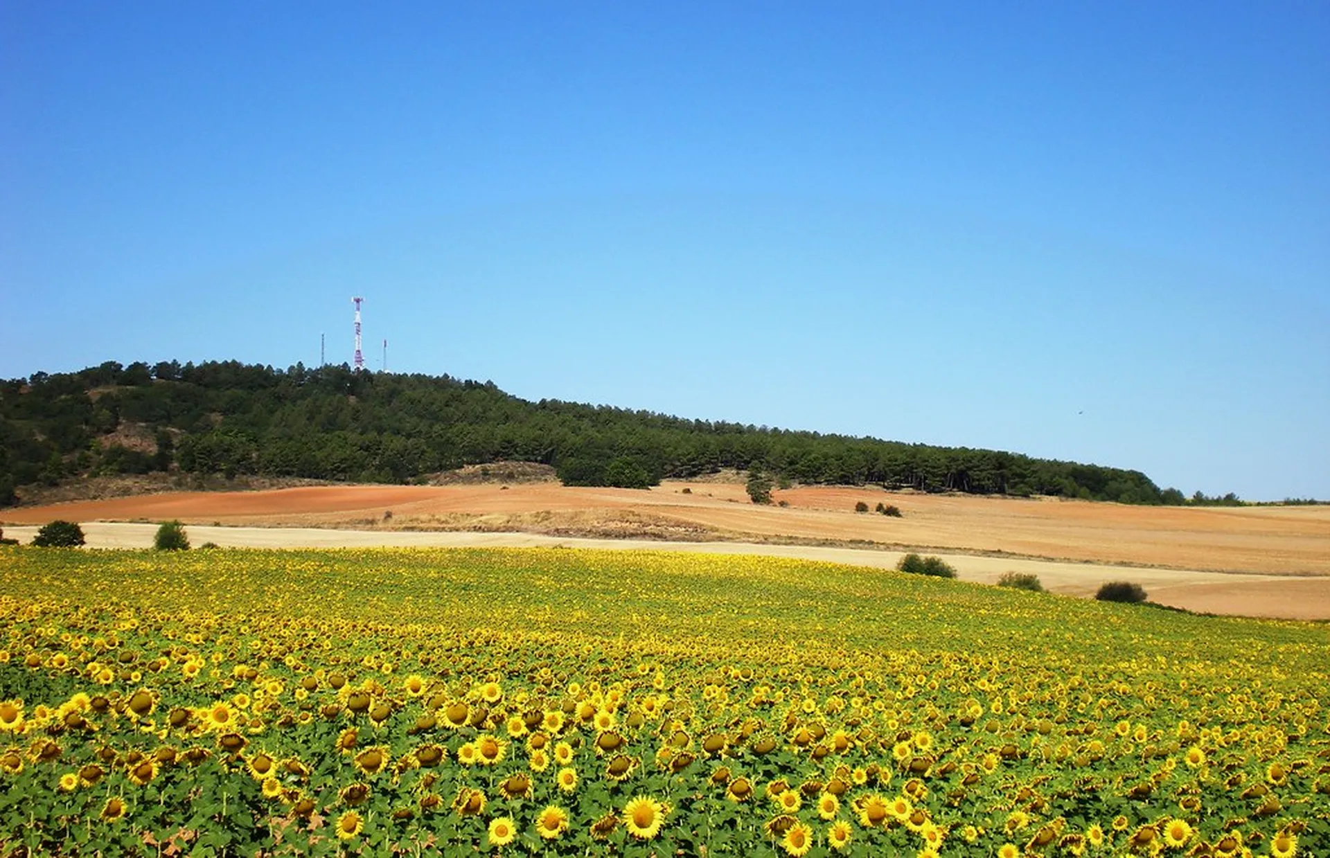 Paisaje de la comarca