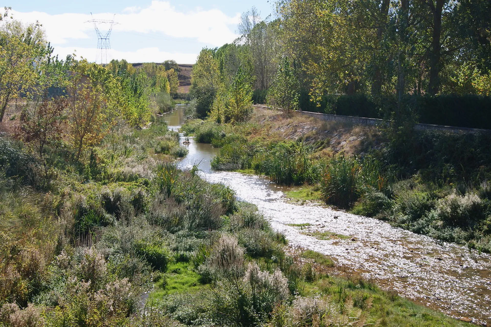 Camino natural